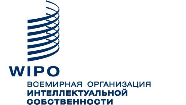 Высокая оценка ВОИС: 85% терминов нашего студенческого проекта получили высший балл